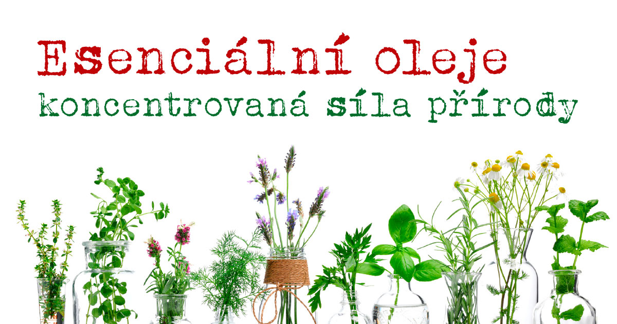 12. 9. od 17h